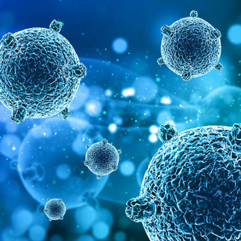 Immunerősítés